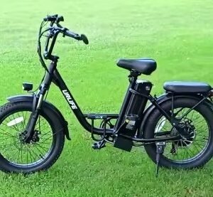 1000W E20 Fat Tire E-Bike